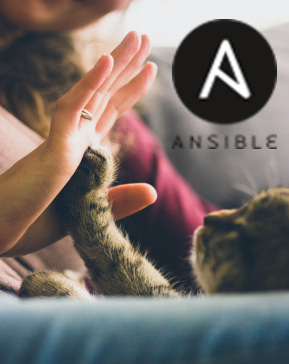 ansible cat small